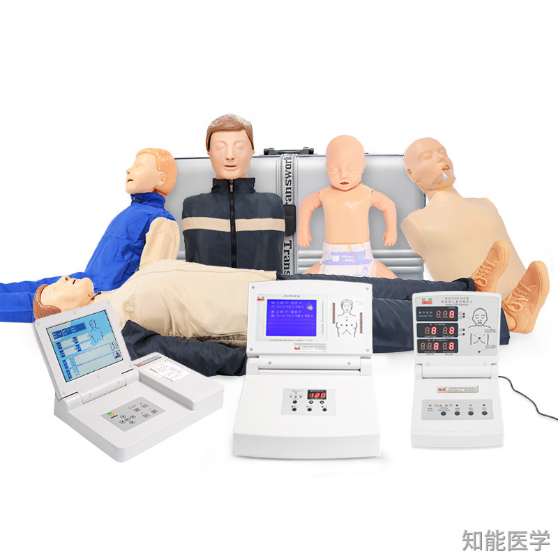 人體醫(yī)學(xué)模型的類型