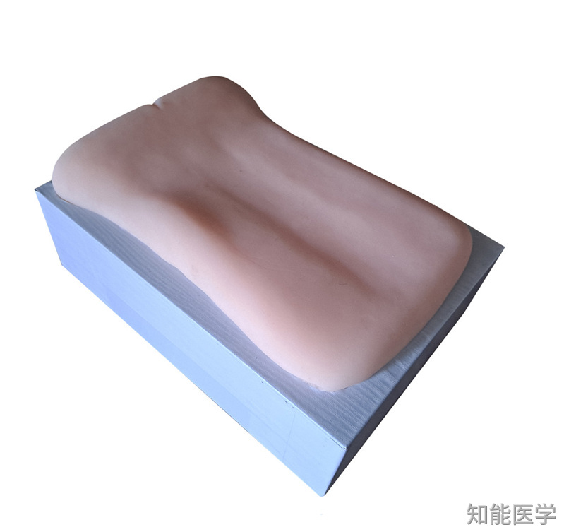 推拿模型