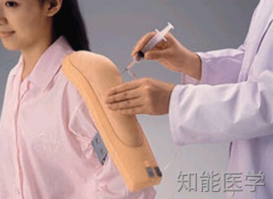 肌肉注射模型