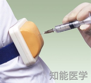 肌肉注射模型